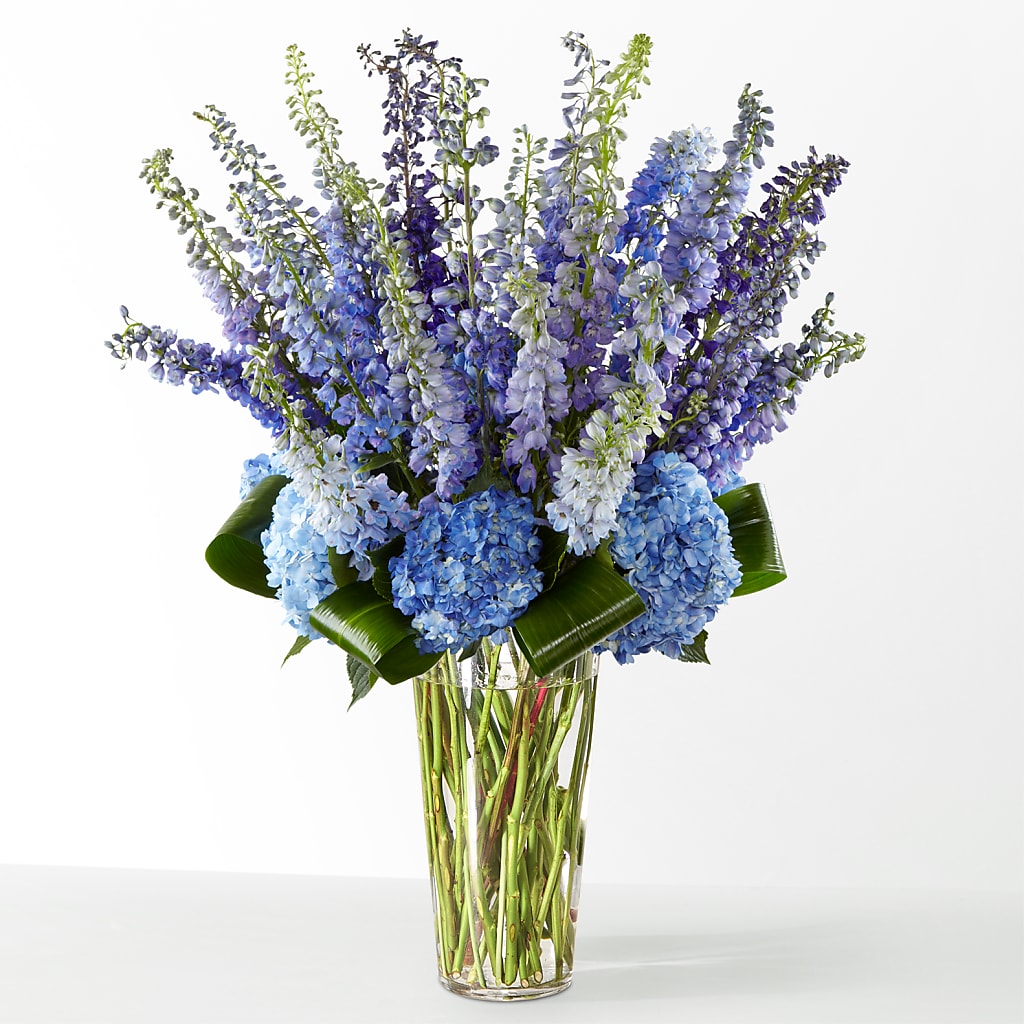The Editorial –  Oak Creek Florist, Concord CA