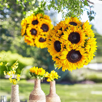 Sublime Garden Hanging Arrangement –  Oak Creek Florist, Concord CA