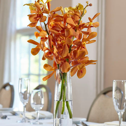 Orange Mokara Bud Vase –  Oak Creek Florist, Concord CA