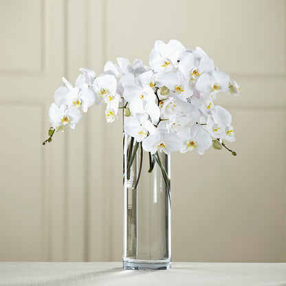 White Phalaenopsis Bouquet –  Oak Creek Florist, Concord CA